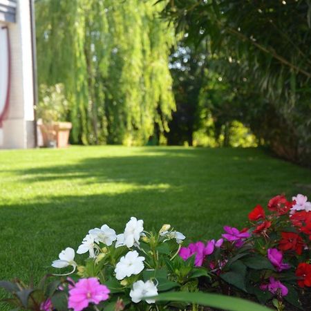 Asso Bed & Breakfast 마네르바 델 가르다 외부 사진